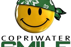 Copriwater Economici Smile